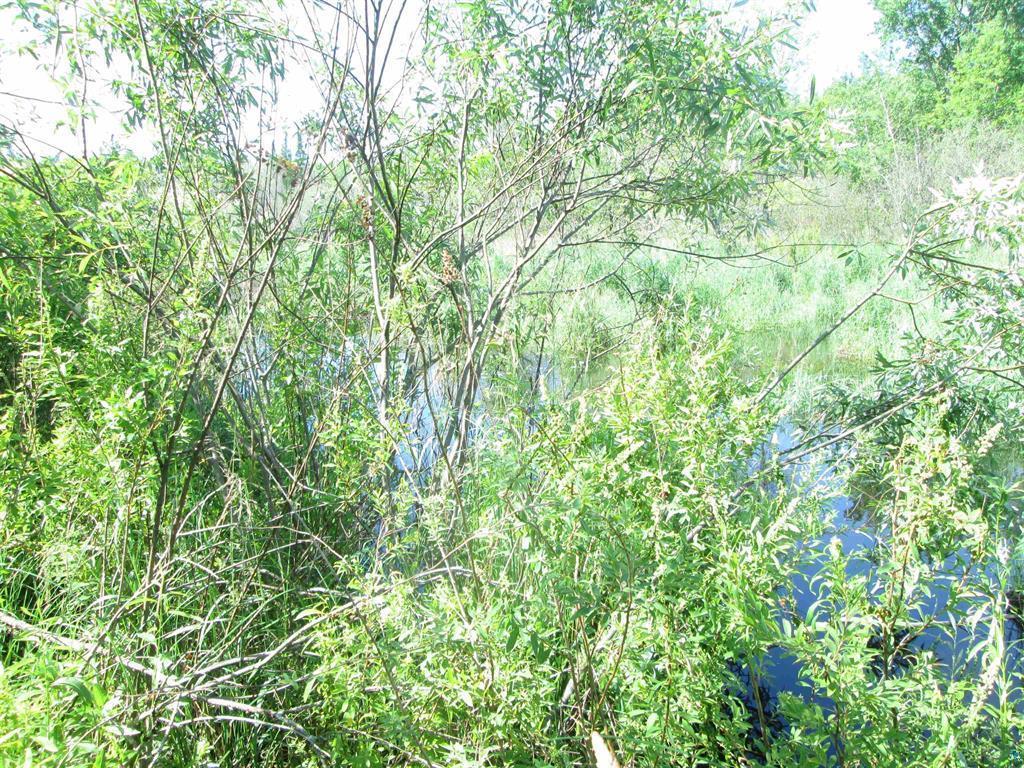 6810 Northeast Road Beseman Twp MN 55798 7106255 image16