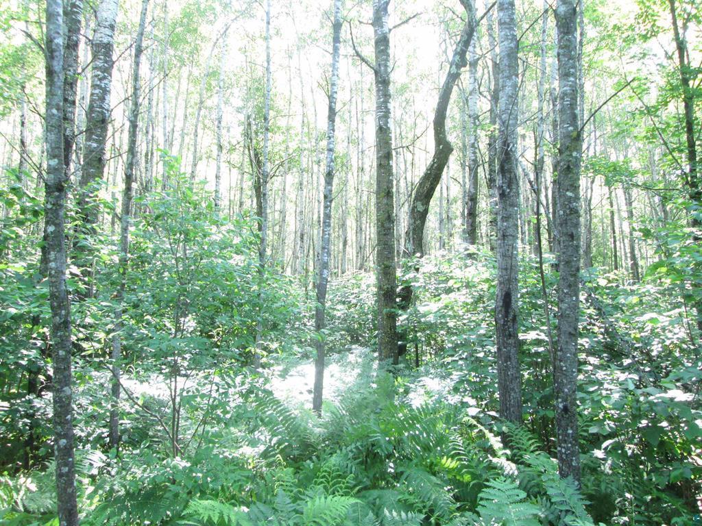 6810 Northeast Road Beseman Twp MN 55798 7106255 image19