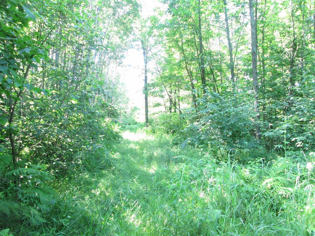 6810 Northeast Road Beseman Twp MN 55798 7106255 image20