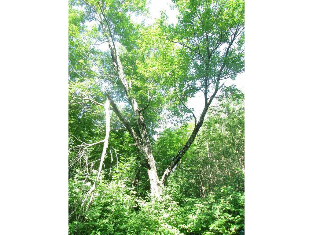 6810 Northeast Road Beseman Twp MN 55798 7106255 image21