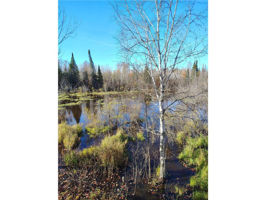6810 Northeast Road Beseman Twp MN 55798 7106255 image23