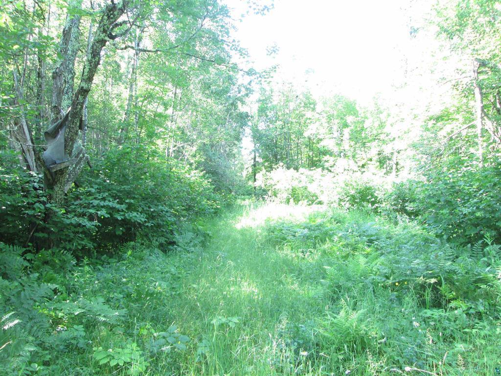 6810 Northeast Road Beseman Twp MN 55798 7106255 image6