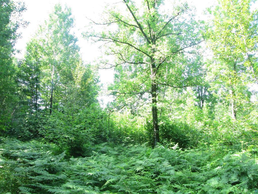 6810 Northeast Road Beseman Twp MN 55798 7106255 image9