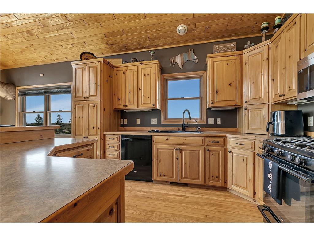 68157 340th Street Forest City Twp MN 55389 7042923 image13