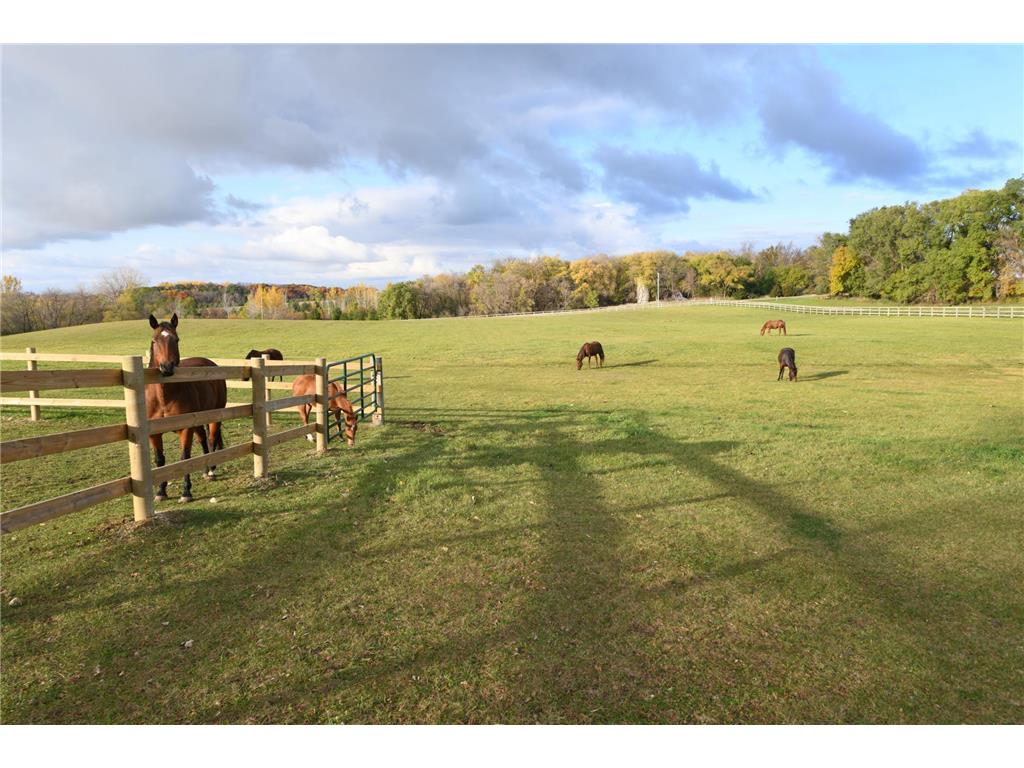 68157 340th Street Watkins MN 55389 6782158 image4