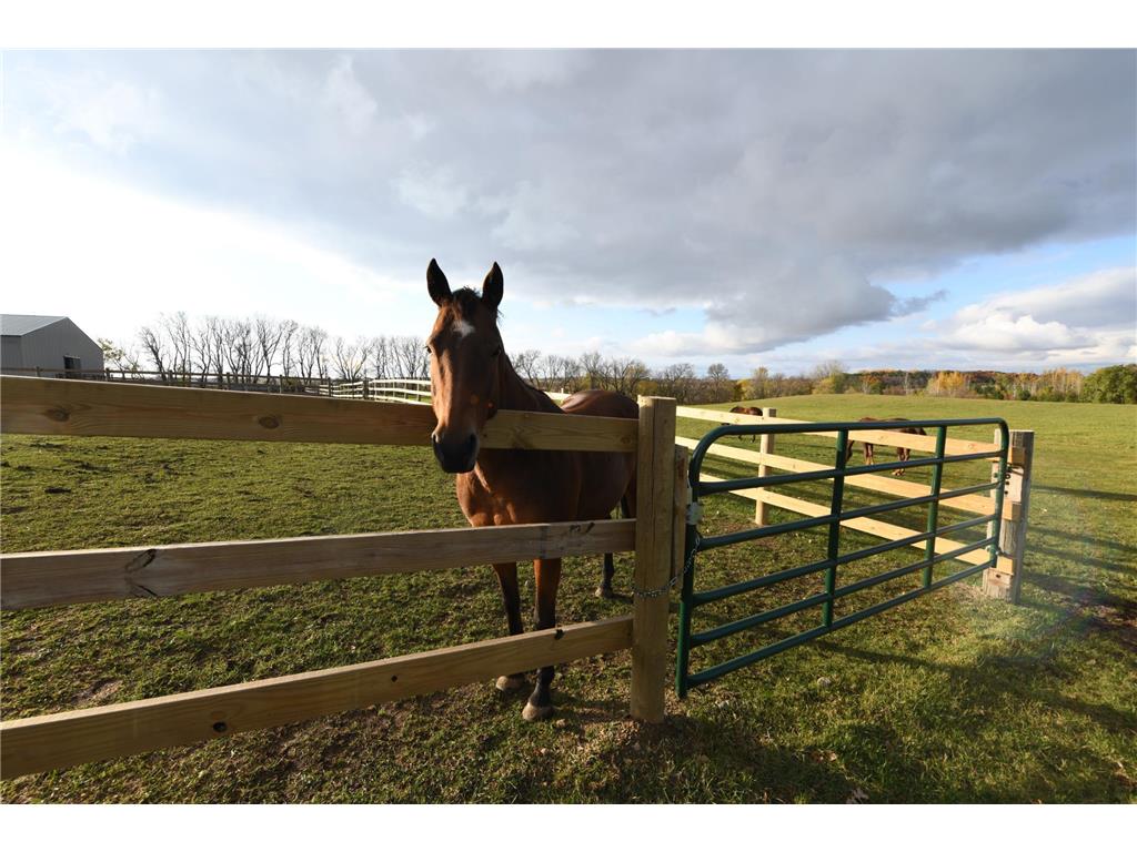 68157 340th Street Watkins MN 55389 6782158 image6