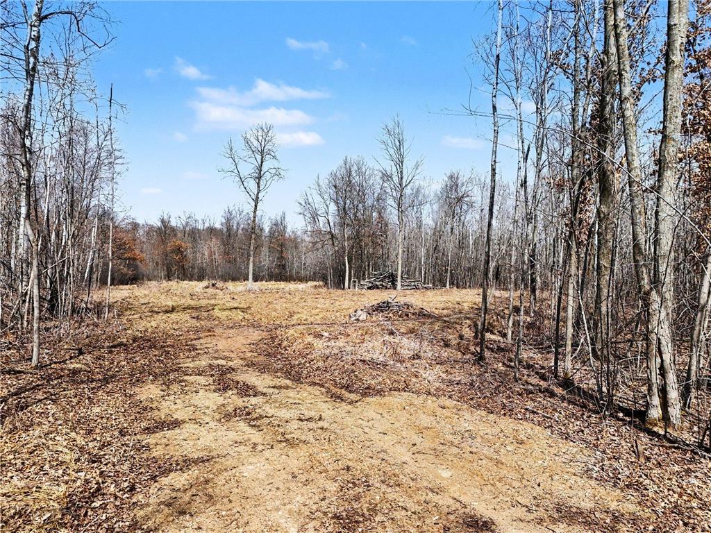 6818 460th Street Harris MN 55032 7007648 image2