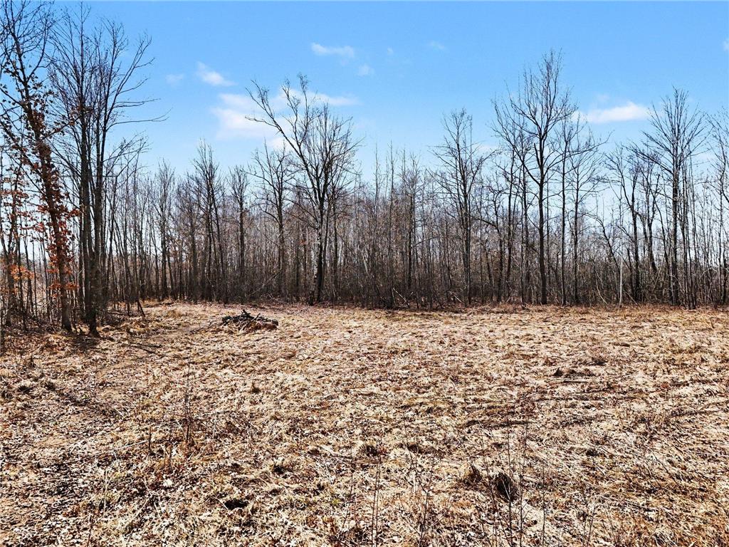 6818 460th Street Harris MN 55032 7007648 image3