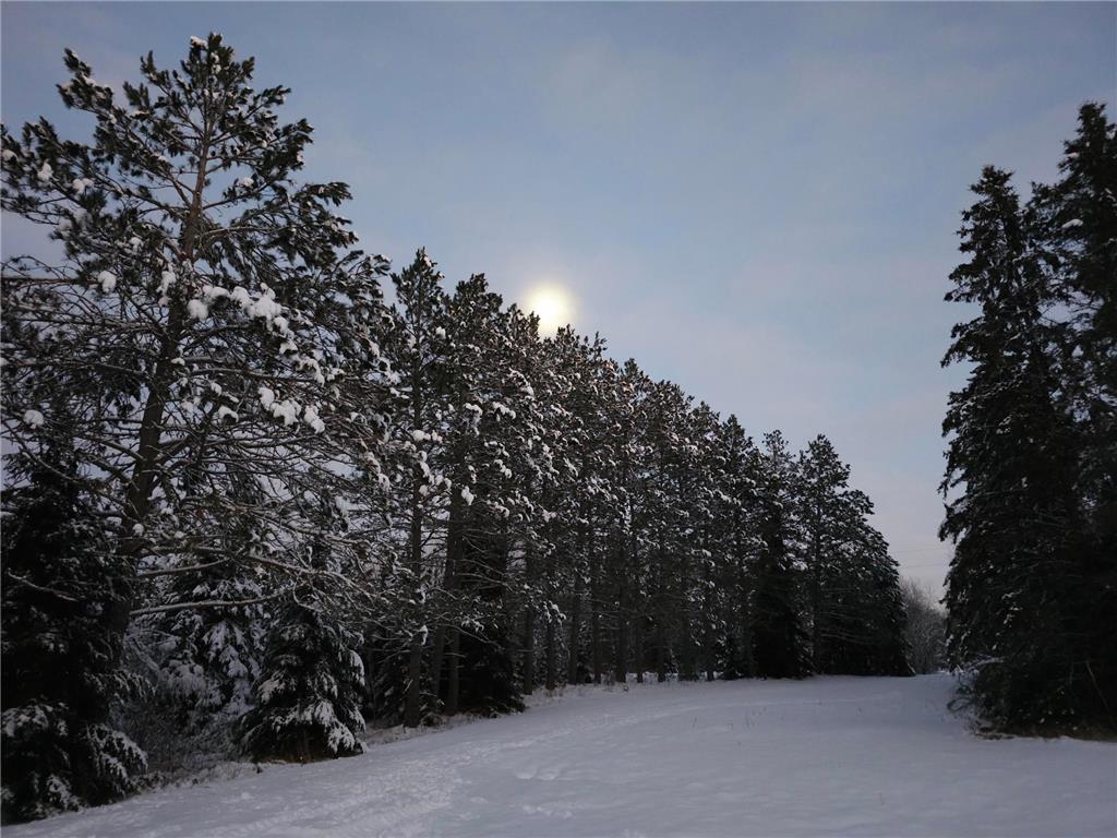 6821 Barrett Road Balkan Twp MN 55719 7079989 image9
