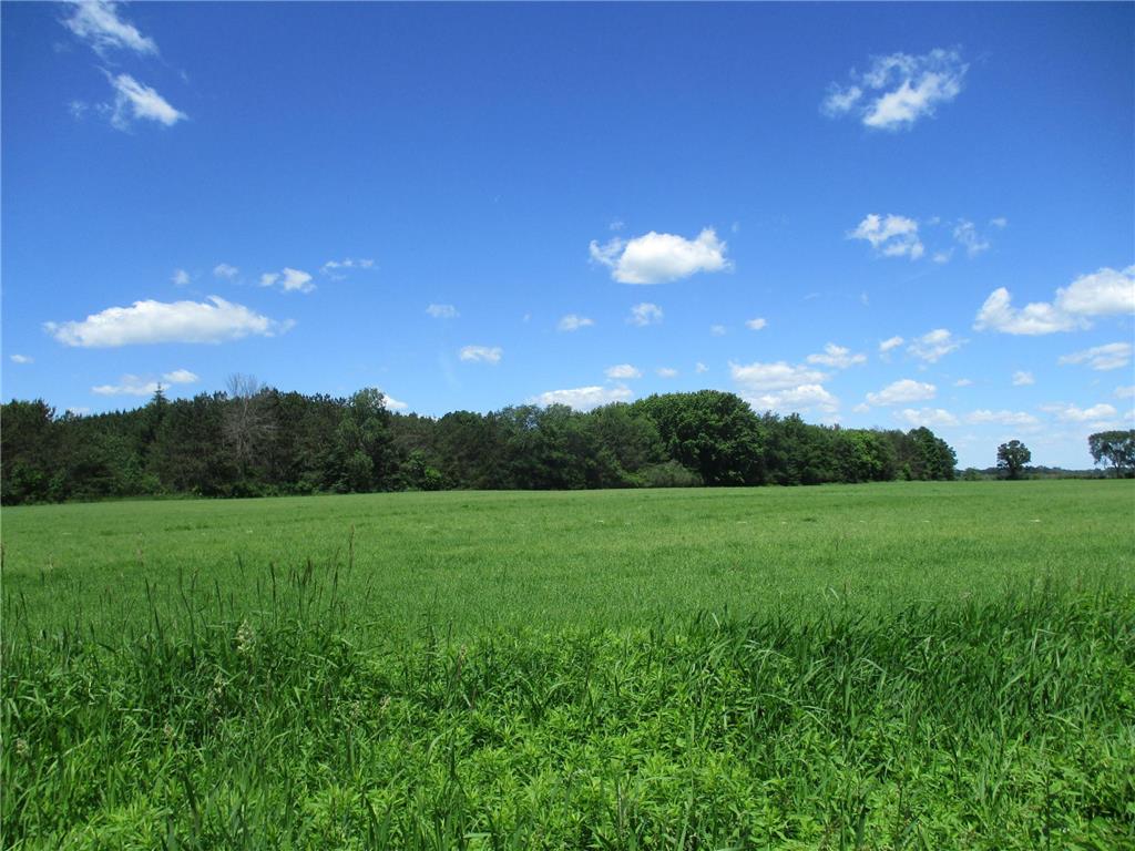 6822 Oneka Lake Blvd N Hugo MN 55038 - Oneka 6554551 image13