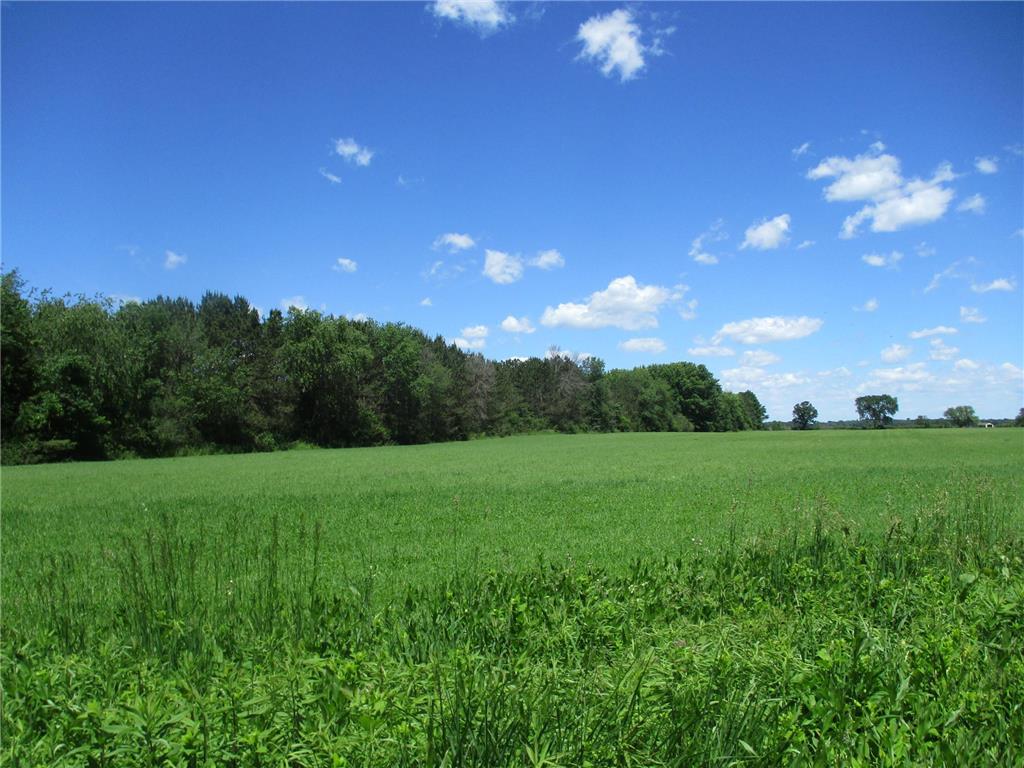 6822 Oneka Lake Blvd N Hugo MN 55038 - Oneka 6554551 image4