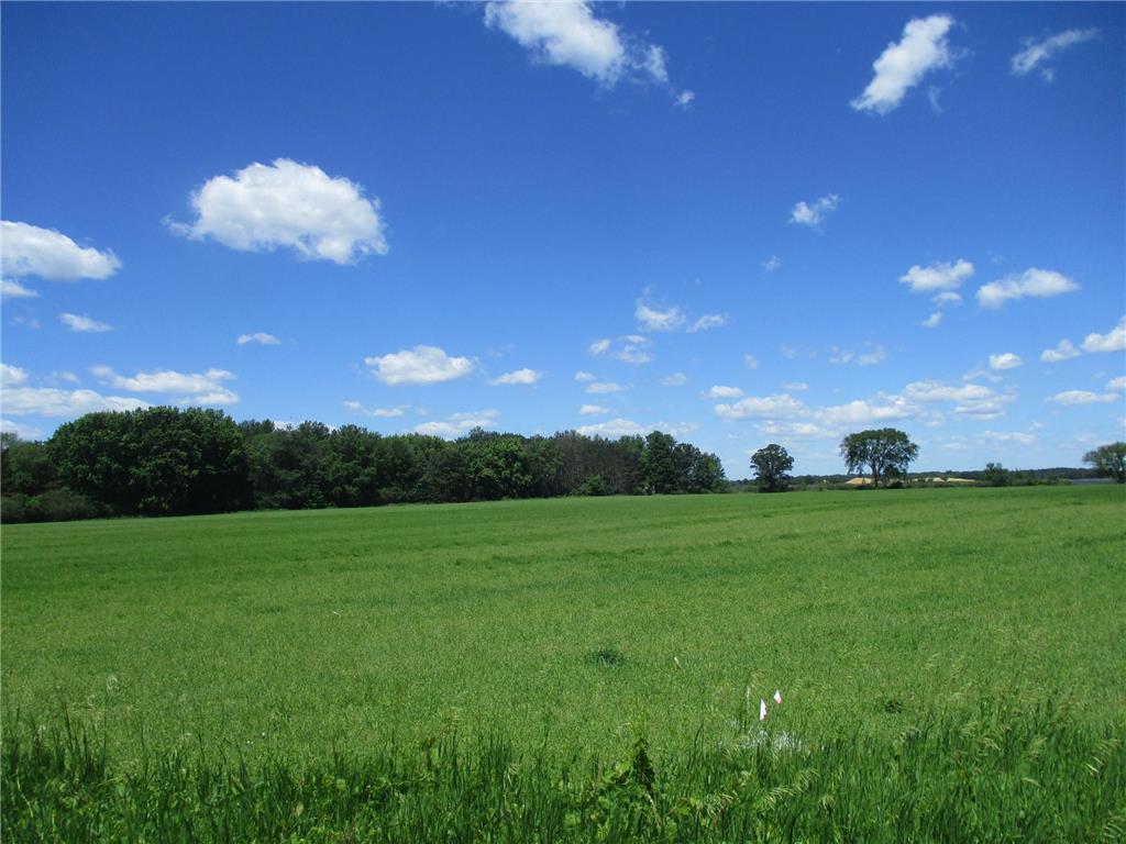 6822 Oneka Lake Blvd N Hugo MN 55038 - Oneka 6554551 image6