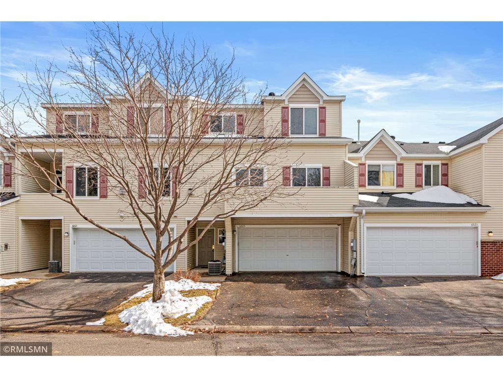 6823 Meadow Grass Lane S Cottage Grove MN 55016 7035422 image1