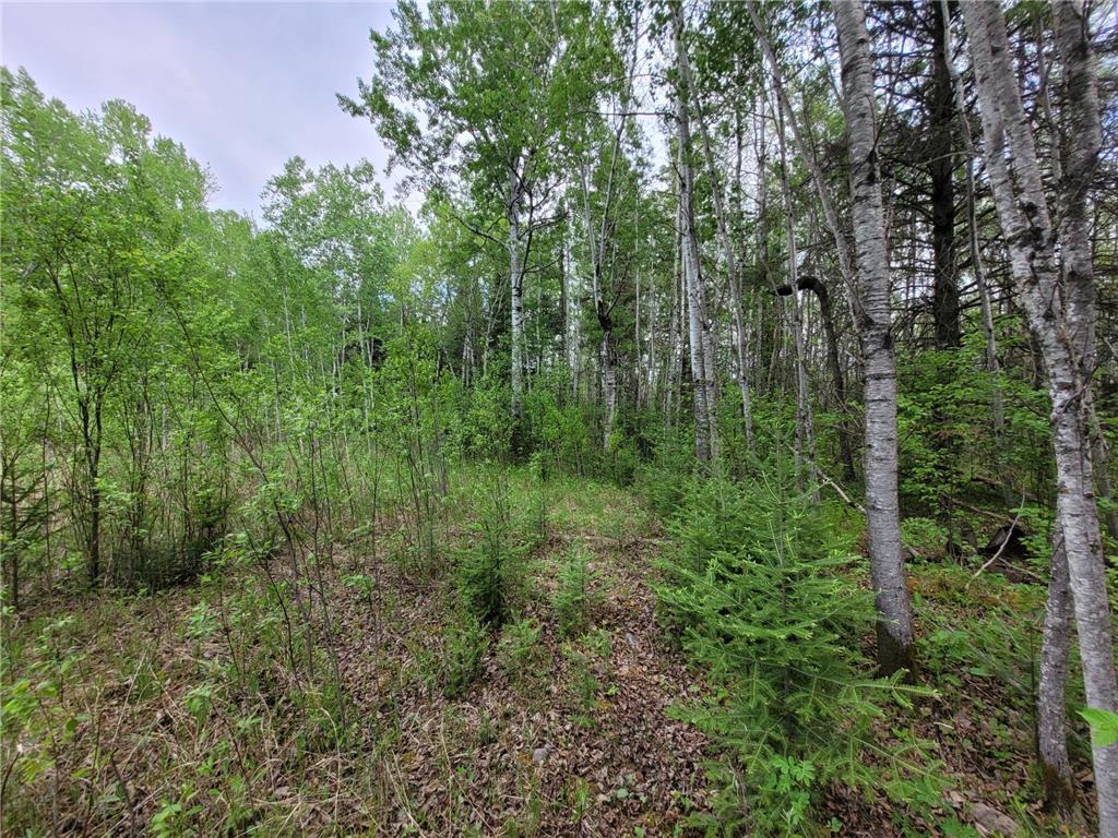 68232 County Road 547 Cook MN 55723 7086691 image10