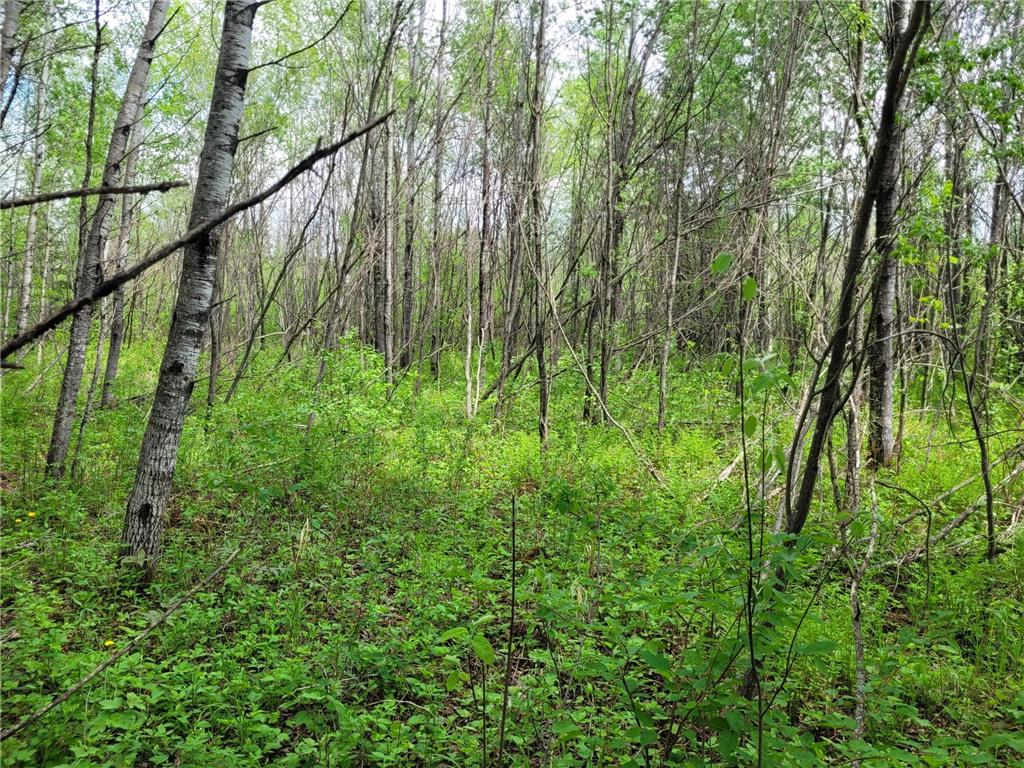 68232 County Road 547 Cook MN 55723 7086691 image11