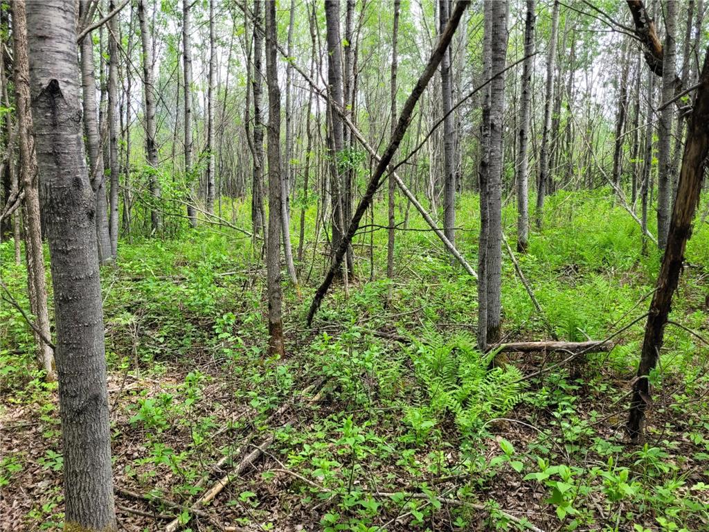 68232 County Road 547 Cook MN 55723 7086691 image13