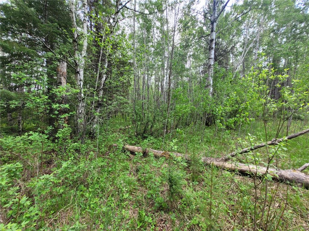 68232 County Road 547 Cook MN 55723 7086691 image14