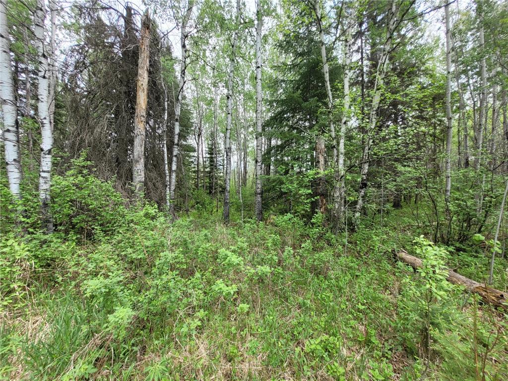 68232 County Road 547 Cook MN 55723 7086691 image15