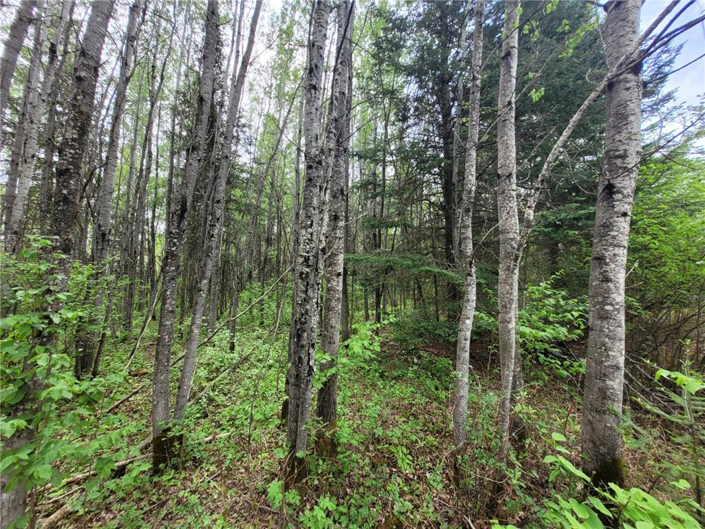 68232 County Road 547 Cook MN 55723 7086691 image16