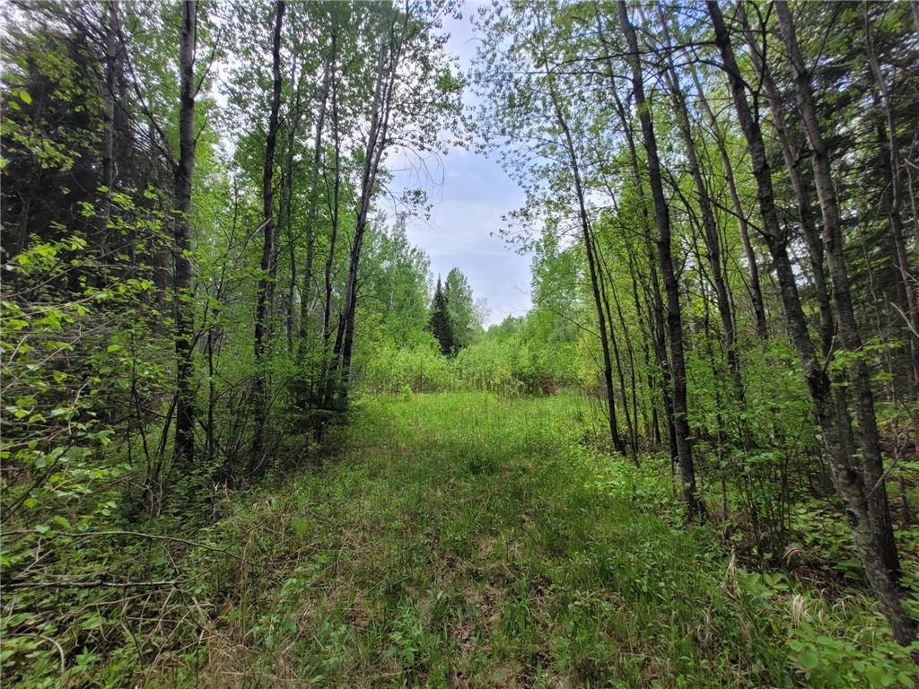68232 County Road 547 Cook MN 55723 7086691 image3