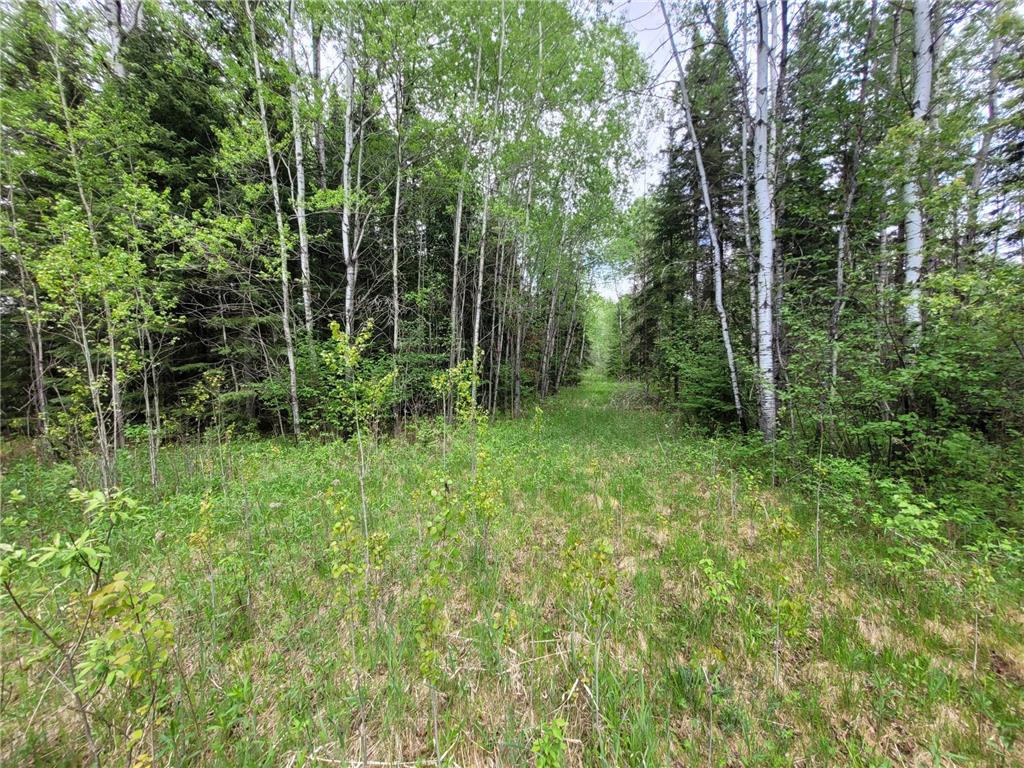 68232 County Road 547 Cook MN 55723 7086691 image6