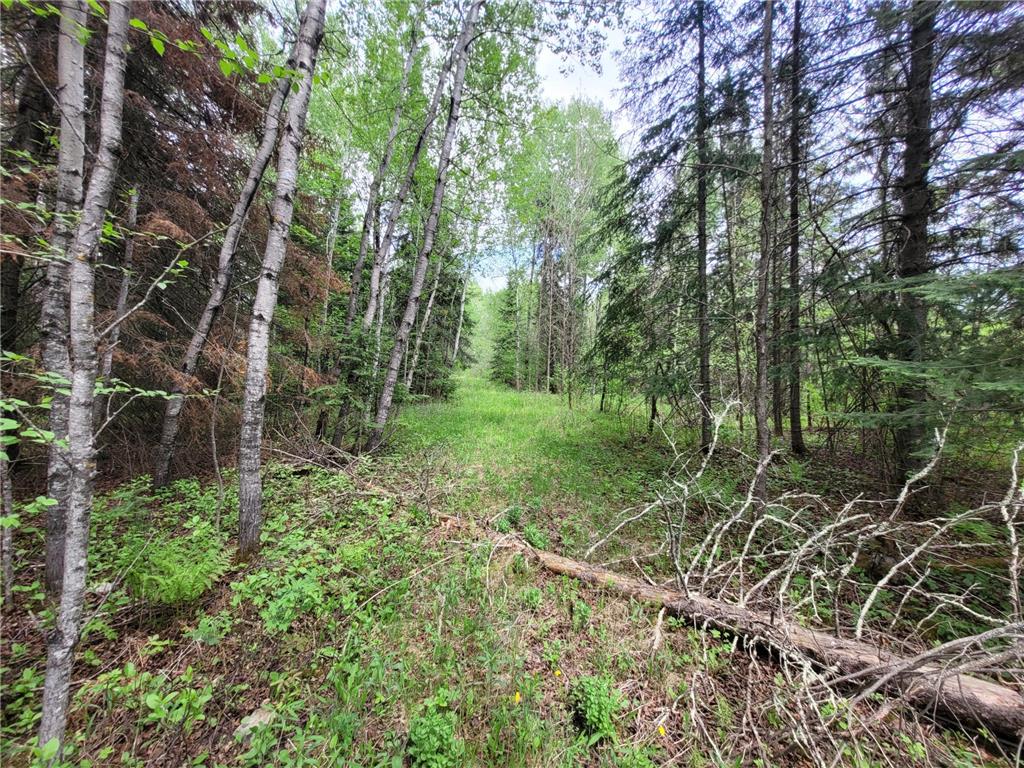 68232 County Road 547 Cook MN 55723 7086691 image8