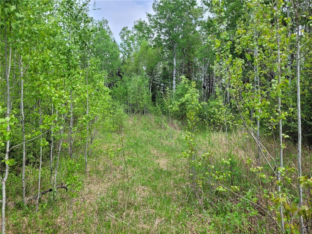 68232 County Road 547 Cook MN 55723 7086691 image9