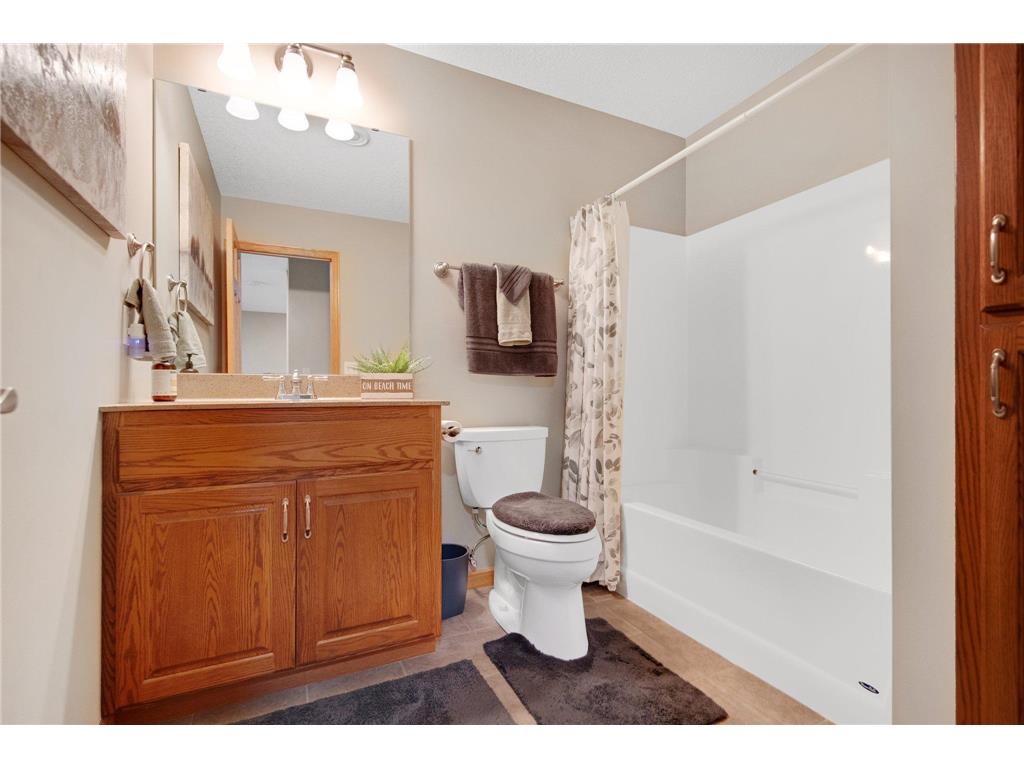 6824 107th Avenue Clear Lake MN 55319 - Elk Lake 6801898 image19