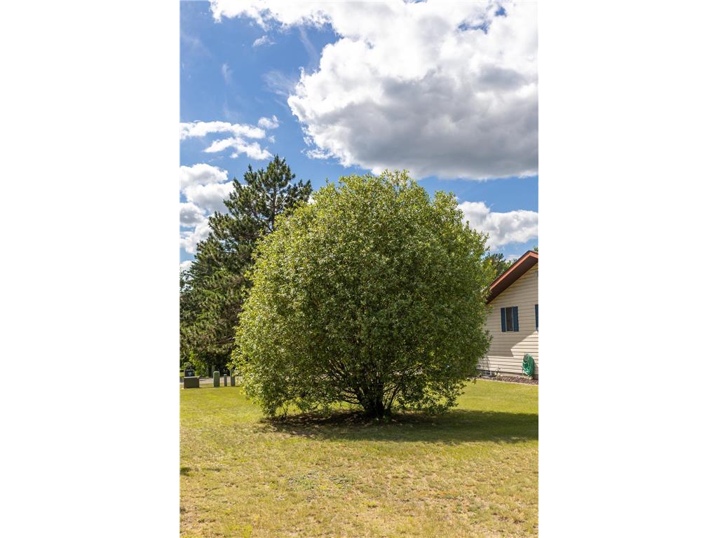 6834 Dickinson Drive NW Bemidji MN 56601 7077450 image109