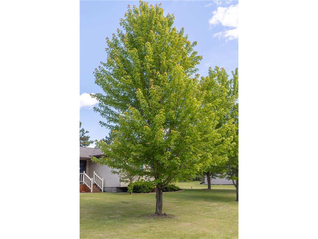 6834 Dickinson Drive NW Bemidji MN 56601 7077450 image125