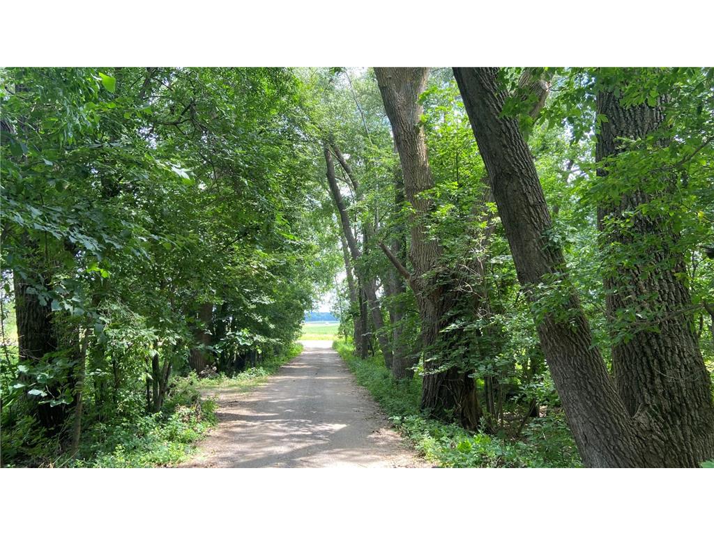 6836 159th Street NE Atwater MN 56209 - Diamond Lake 7071717 image29