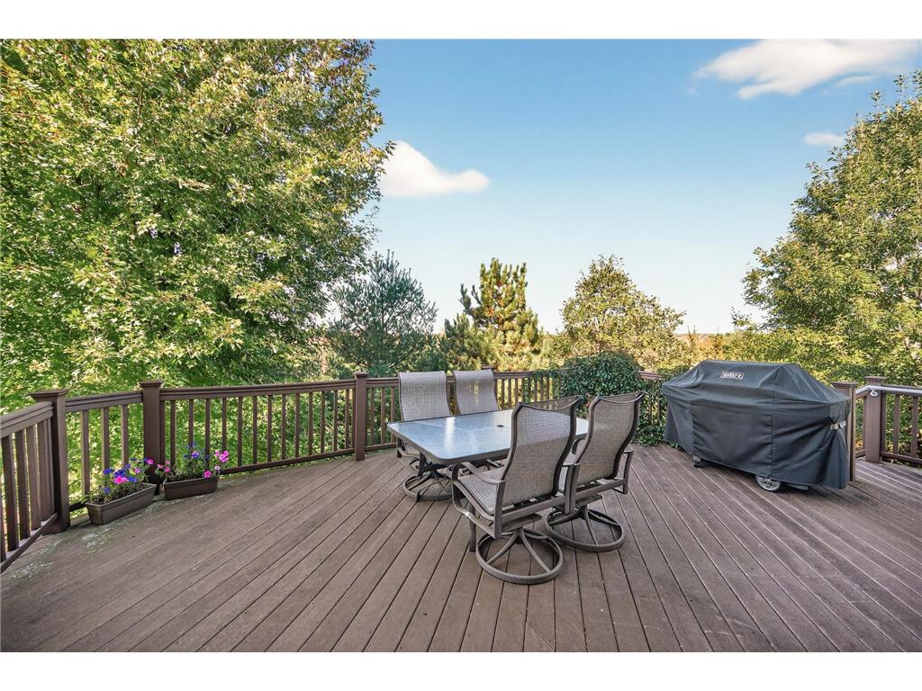 6848 Omar Avenue Court S Denmark Twp MN 55033 7019059 image49