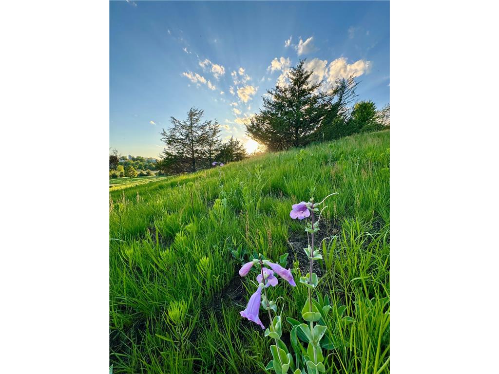 6848 Omar Avenue Court S Denmark Twp MN 55033 7019059 image64