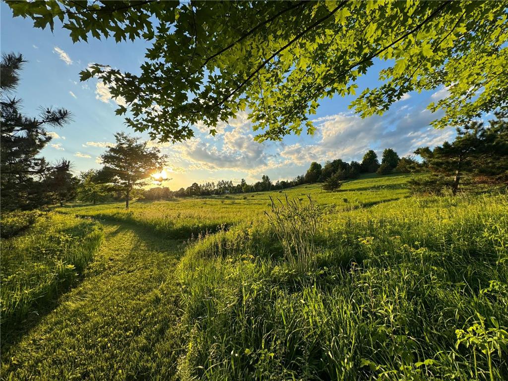 6848 Omar Avenue Court S Denmark Twp MN 55033 7019059 image65