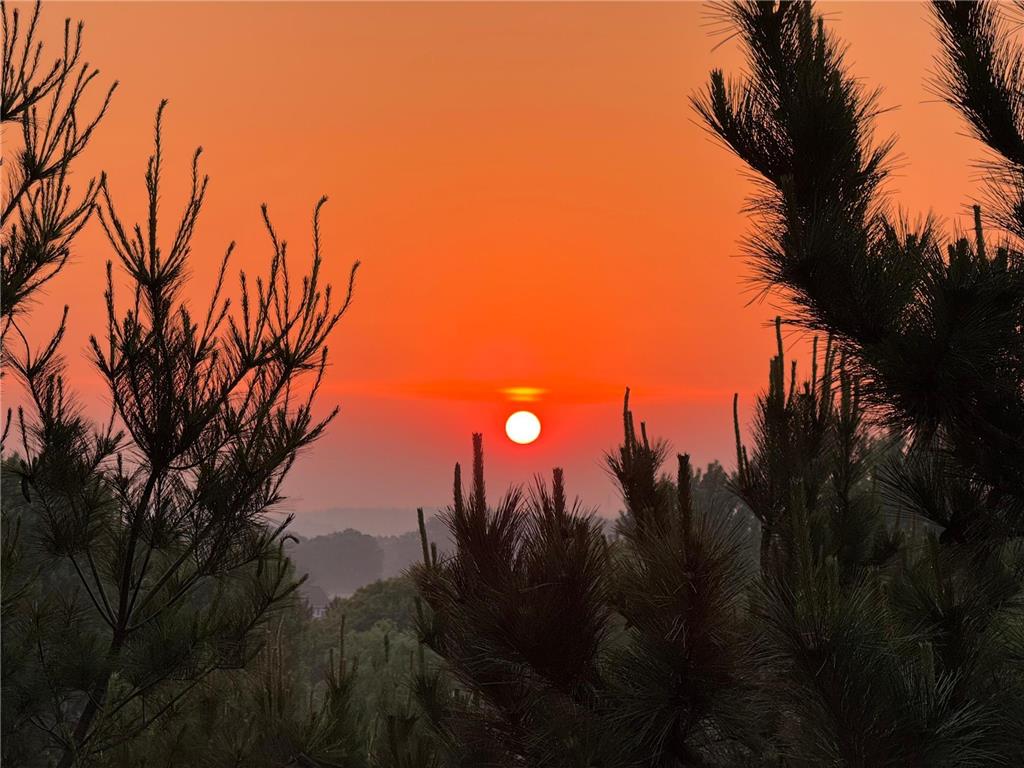 6848 Omar Avenue Court S Denmark Twp MN 55033 7019059 image66