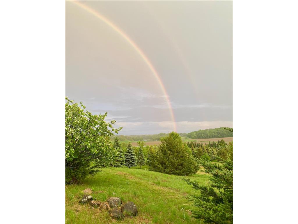 6848 Omar Avenue Court S Denmark Twp MN 55033 7019059 image68