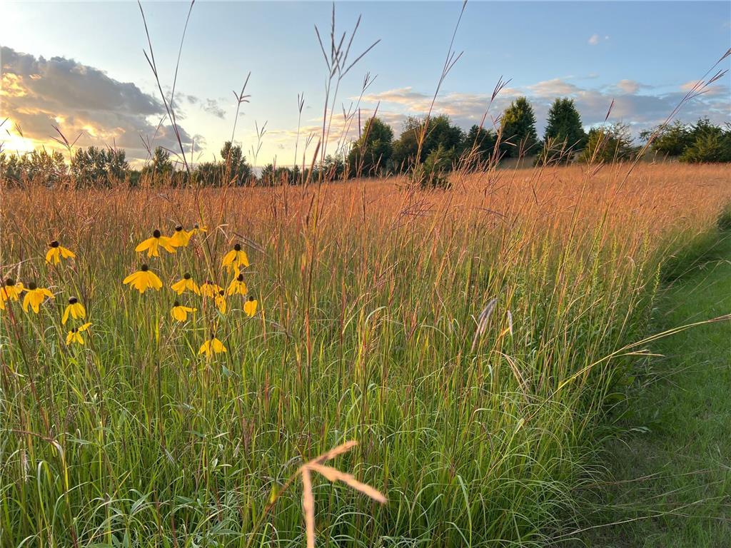 6848 Omar Avenue Court S Denmark Twp MN 55033 7019059 image72