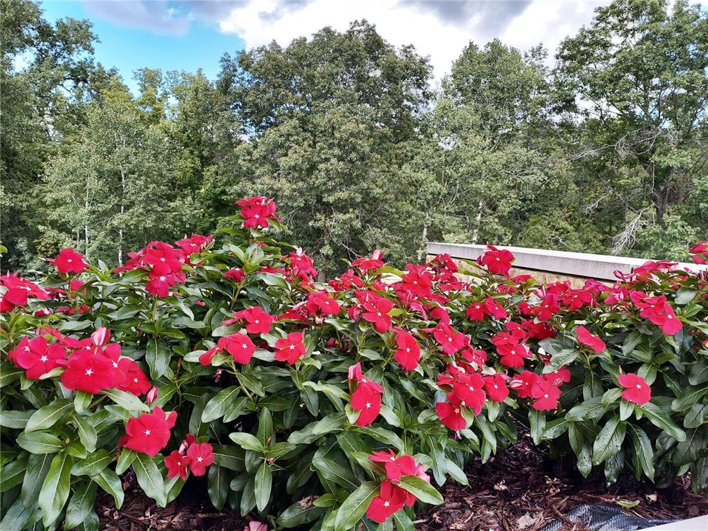 685 Hidden Creek Trail Mendota Heights MN 55118 6707877 image31