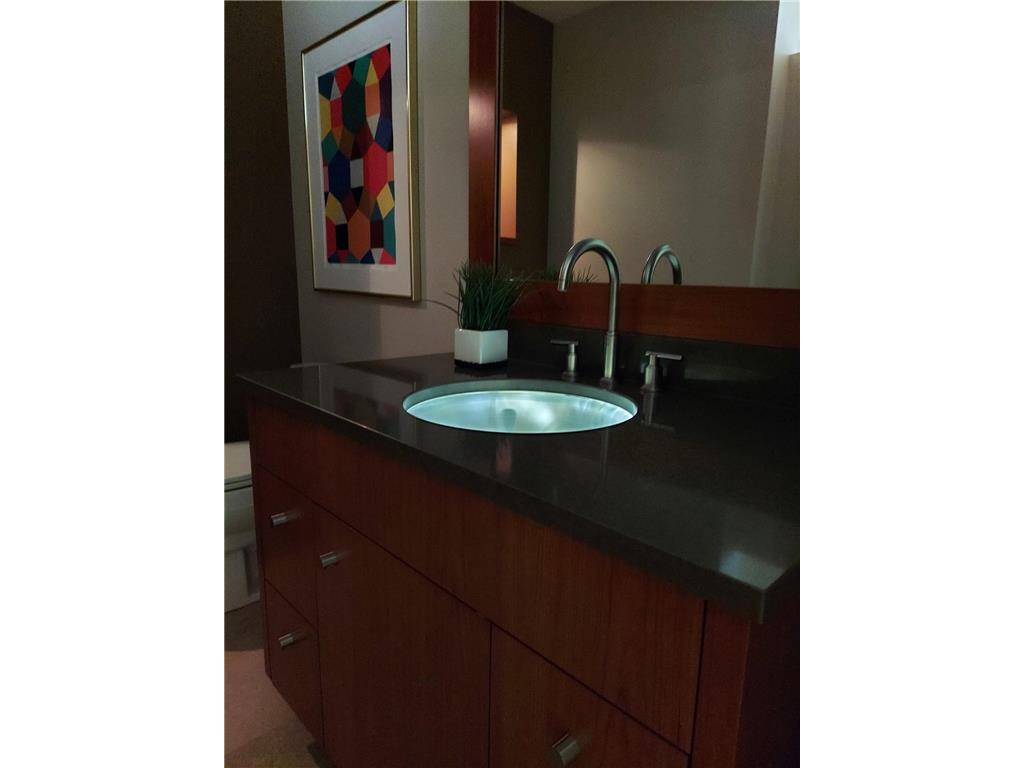 685 Hidden Creek Trail Mendota Heights MN 55118 6707877 image42