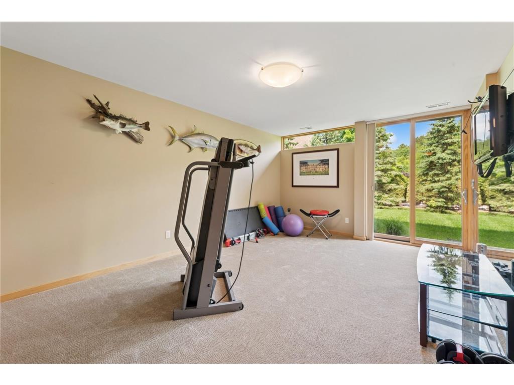 685 Hidden Creek Trail Mendota Heights MN 55118 6707877 image57