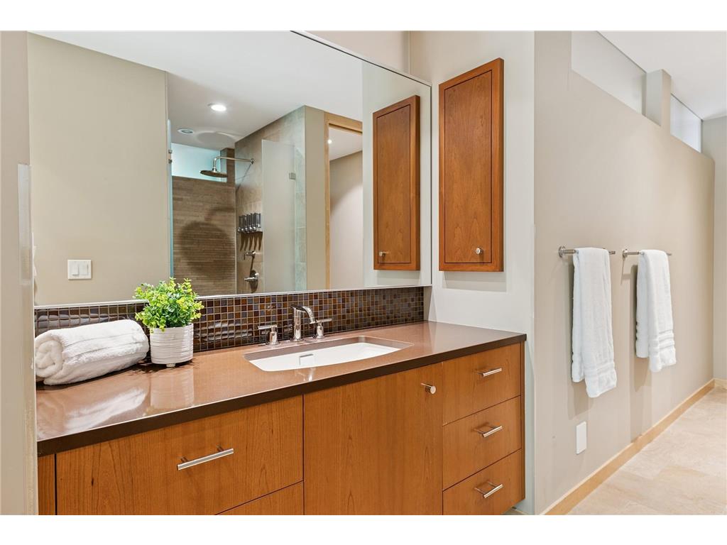 685 Hidden Creek Trail Mendota Heights MN 55118 6707877 image73