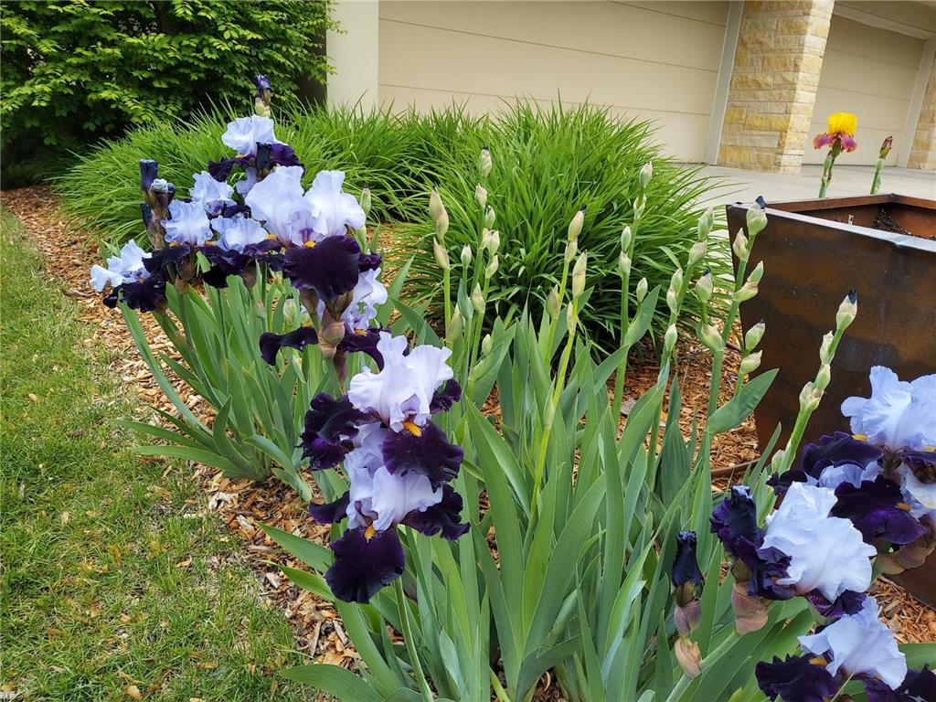 685 Hidden Creek Trail Mendota Heights MN 55118 6707877 image78