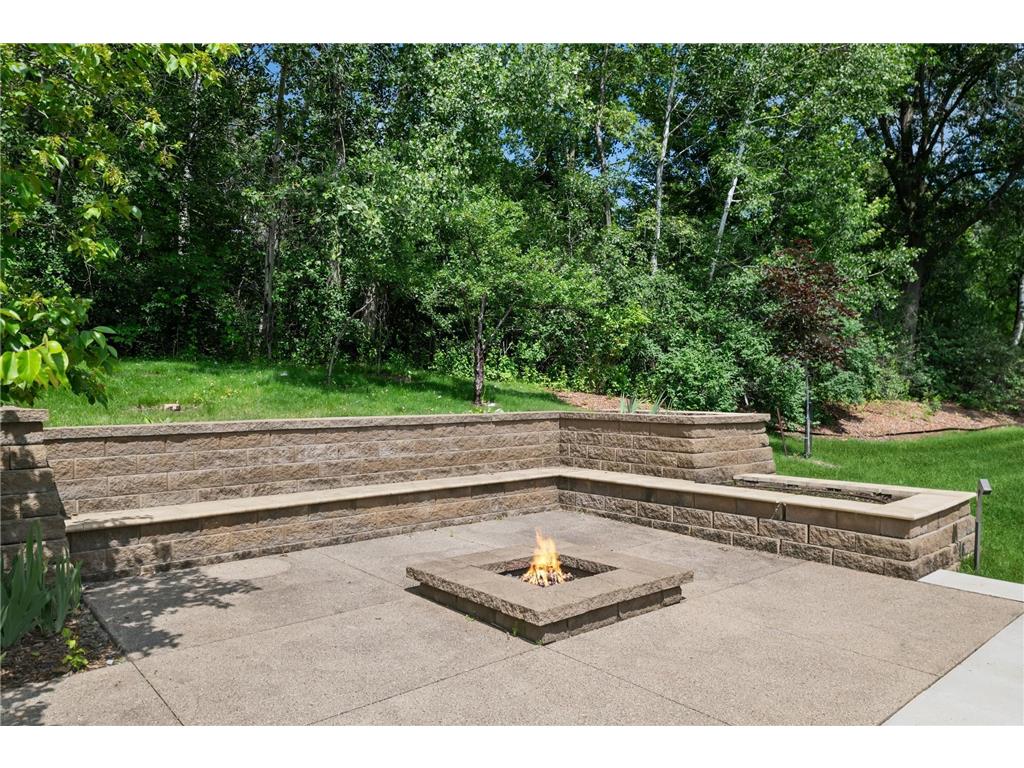 685 Hidden Creek Trail Mendota Heights MN 55118 6707877 image79