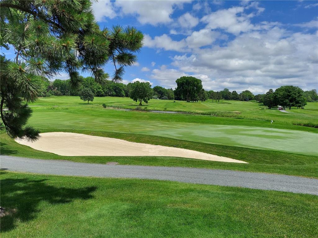 685 Hidden Creek Trail Mendota Heights MN 55118 6707877 image92