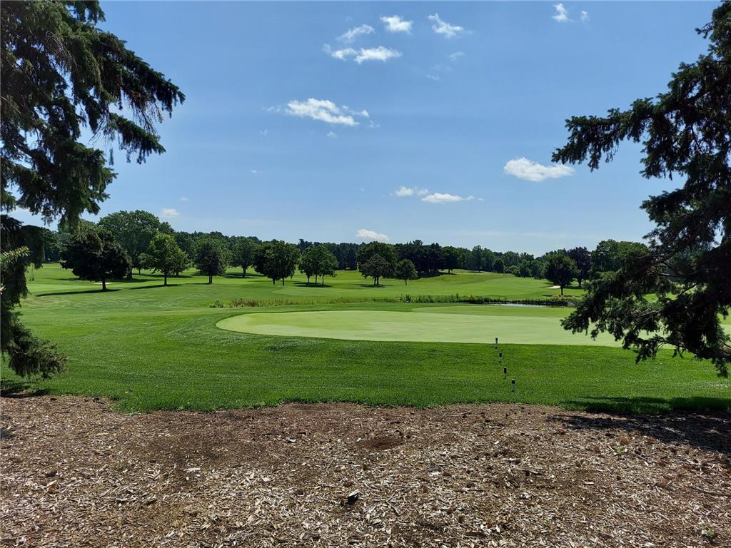 685 Hidden Creek Trail Mendota Heights MN 55118 6707877 image95