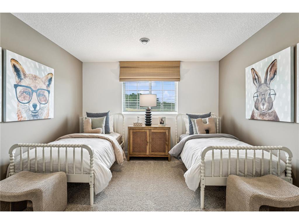 6856 Zenwood Lane Corcoran MN 55374 7047209 image24