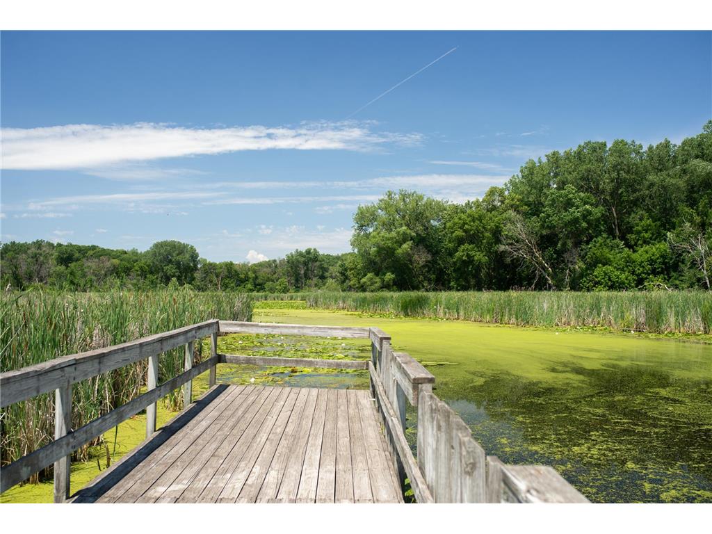 6862 Zenwood Lane Corcoran MN 55340 7047182 image25