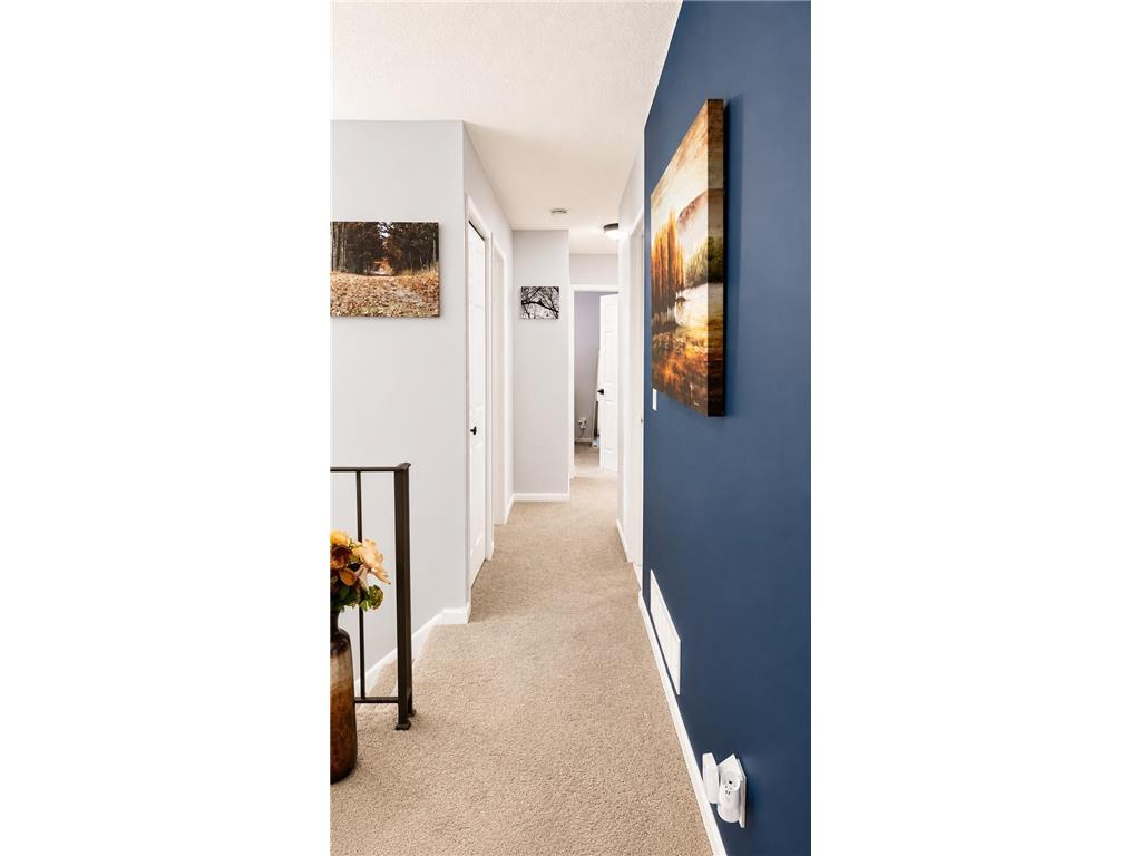 6869 Macbeth Court Woodbury MN 55125 7109885 image23