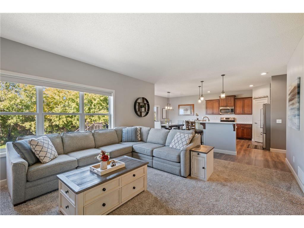 6877 Lasalle Circle NE Albertville MN 55301 - Hunters 6796494 image10