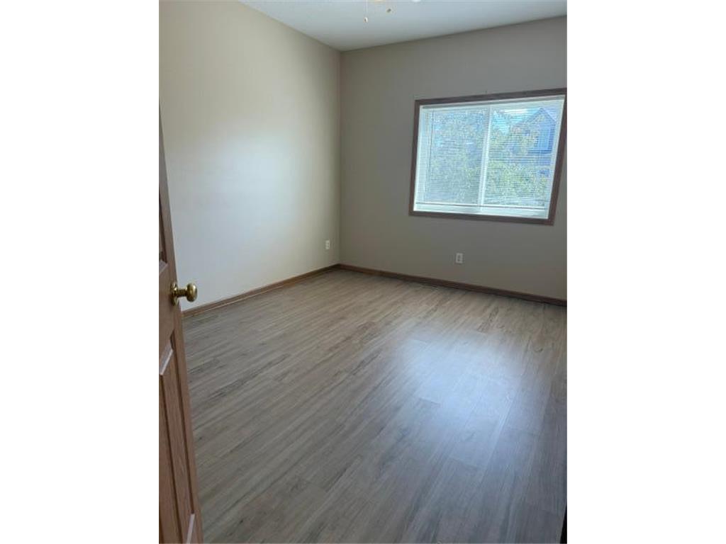 6886 Meadow Grass Lane S Cottage Grove MN 55016 7091897 image12